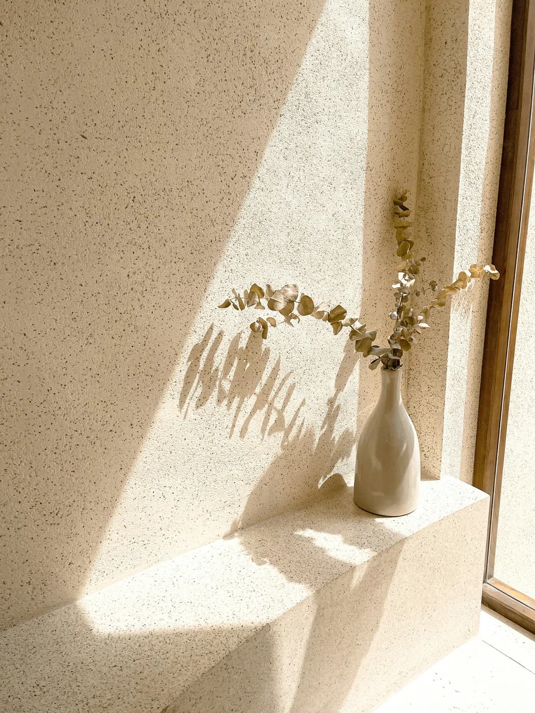 Dried eucalyptus in a pale vase against a terrazzo wall in hard sunlight