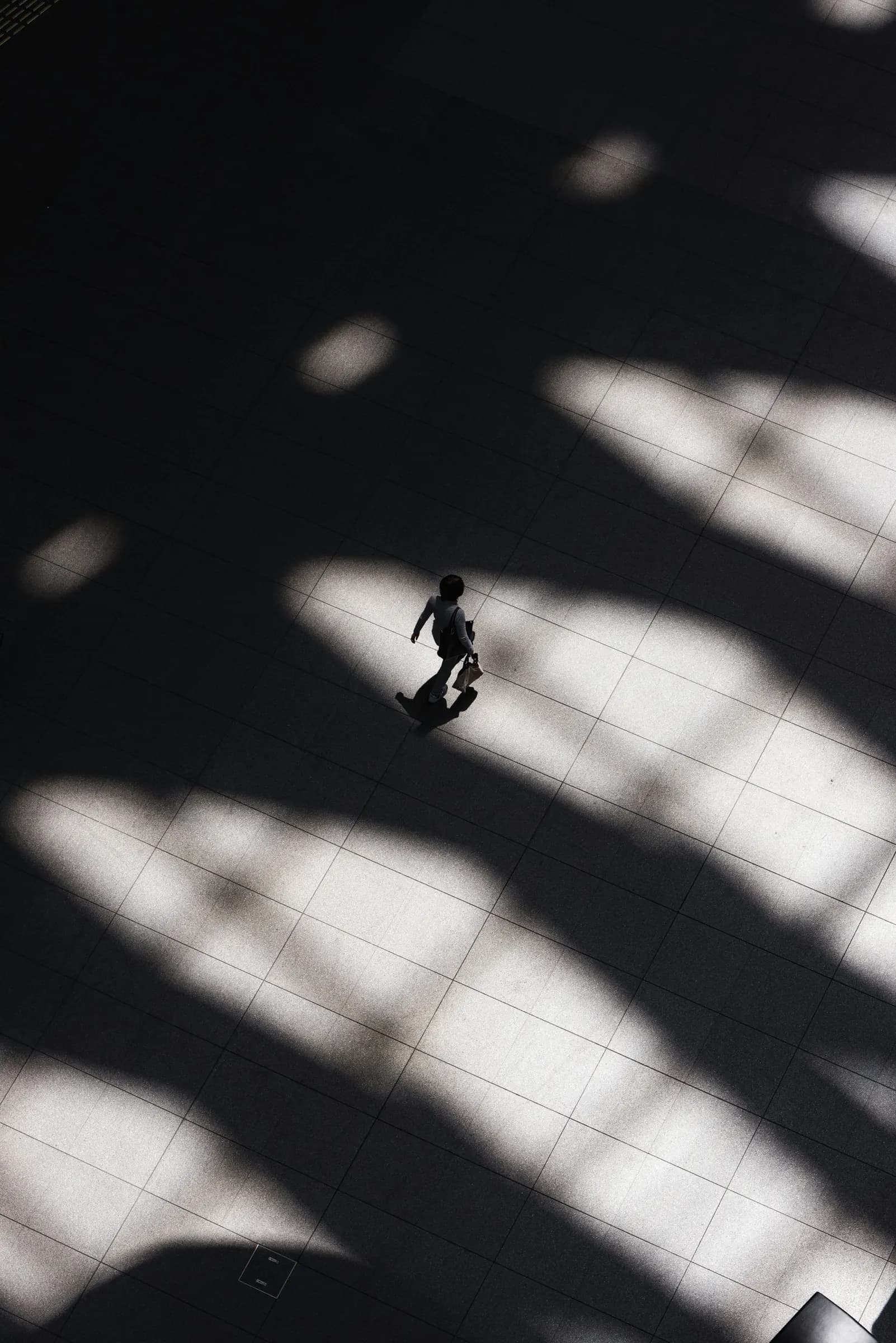 A paved plaza seen from above, crossed by dappled light, in monochrome