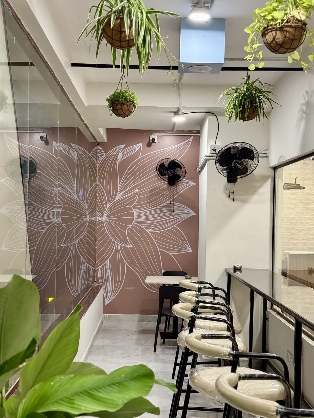 Bar seating below hanging planters, beside a wall drawn with a line mural