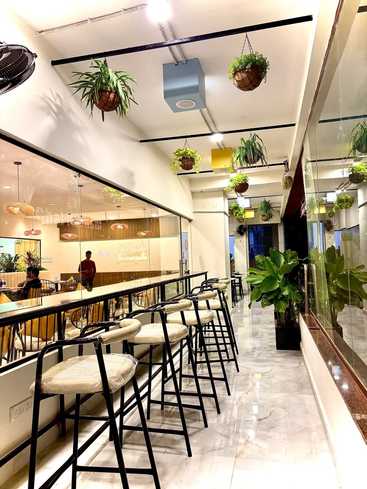 Counter stools running under trailing planting toward the servery