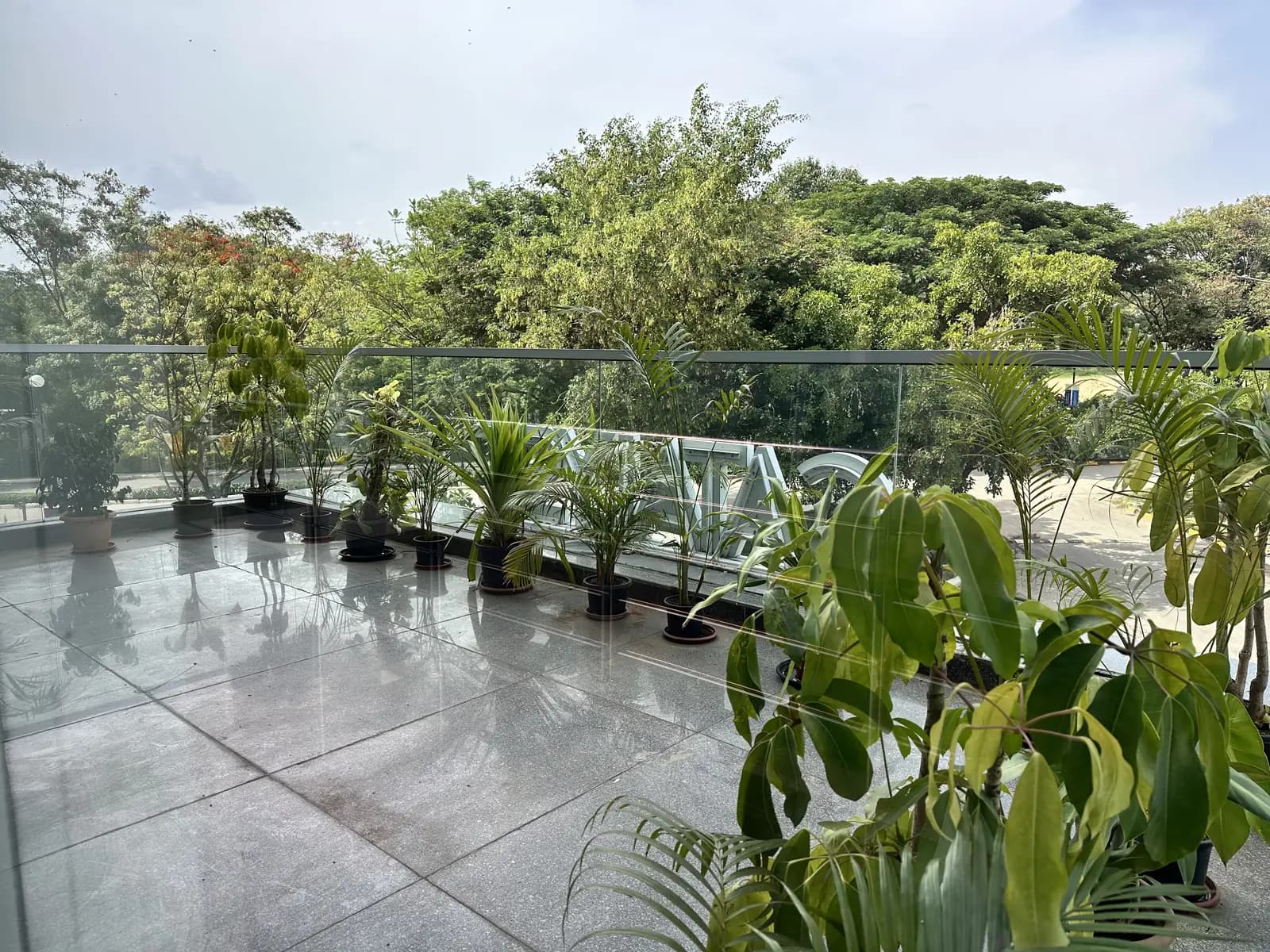 A planted terrace behind a glass balustrade, trees beyond