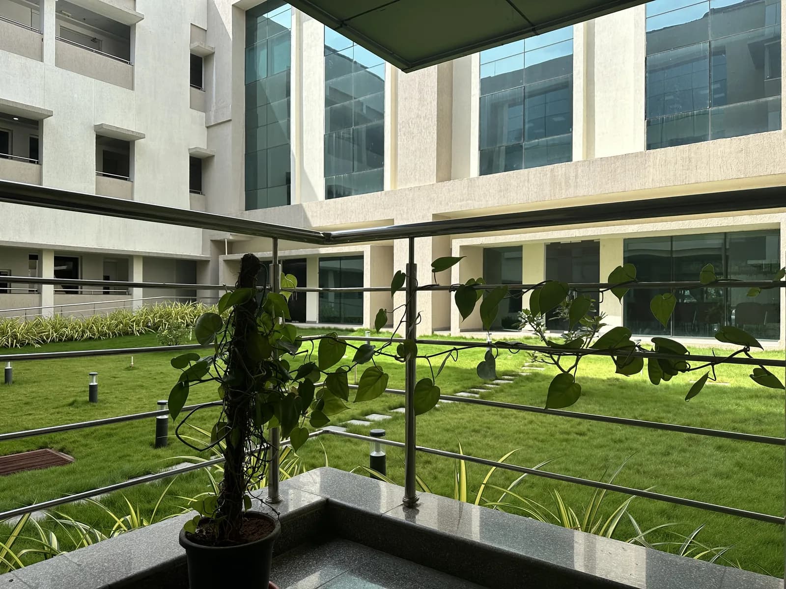 A planted courtyard between glazed wings of the building
