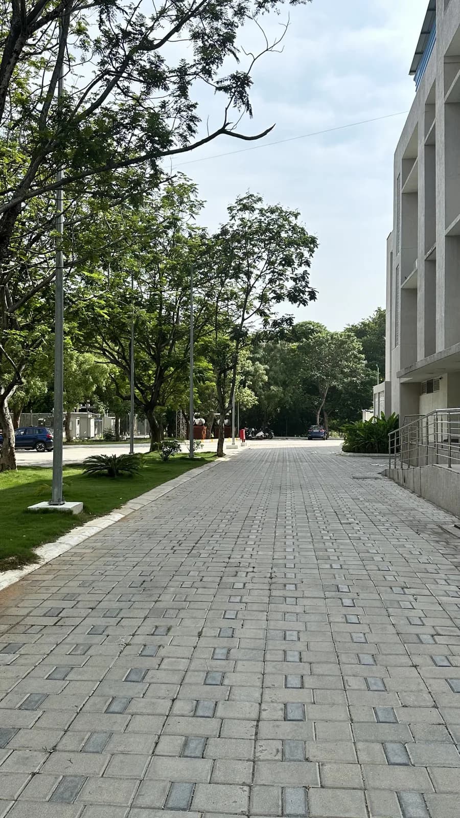 A paved avenue running between the blocks, planted with trees