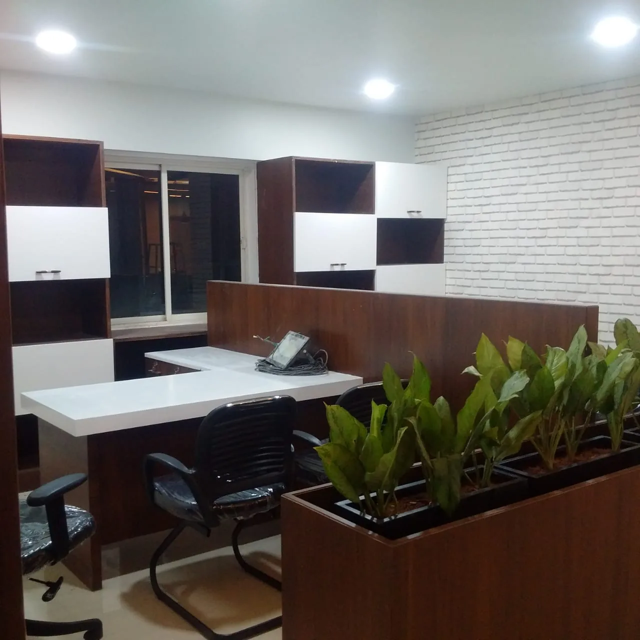 Workstations against a painted white brick wall with planting along the front