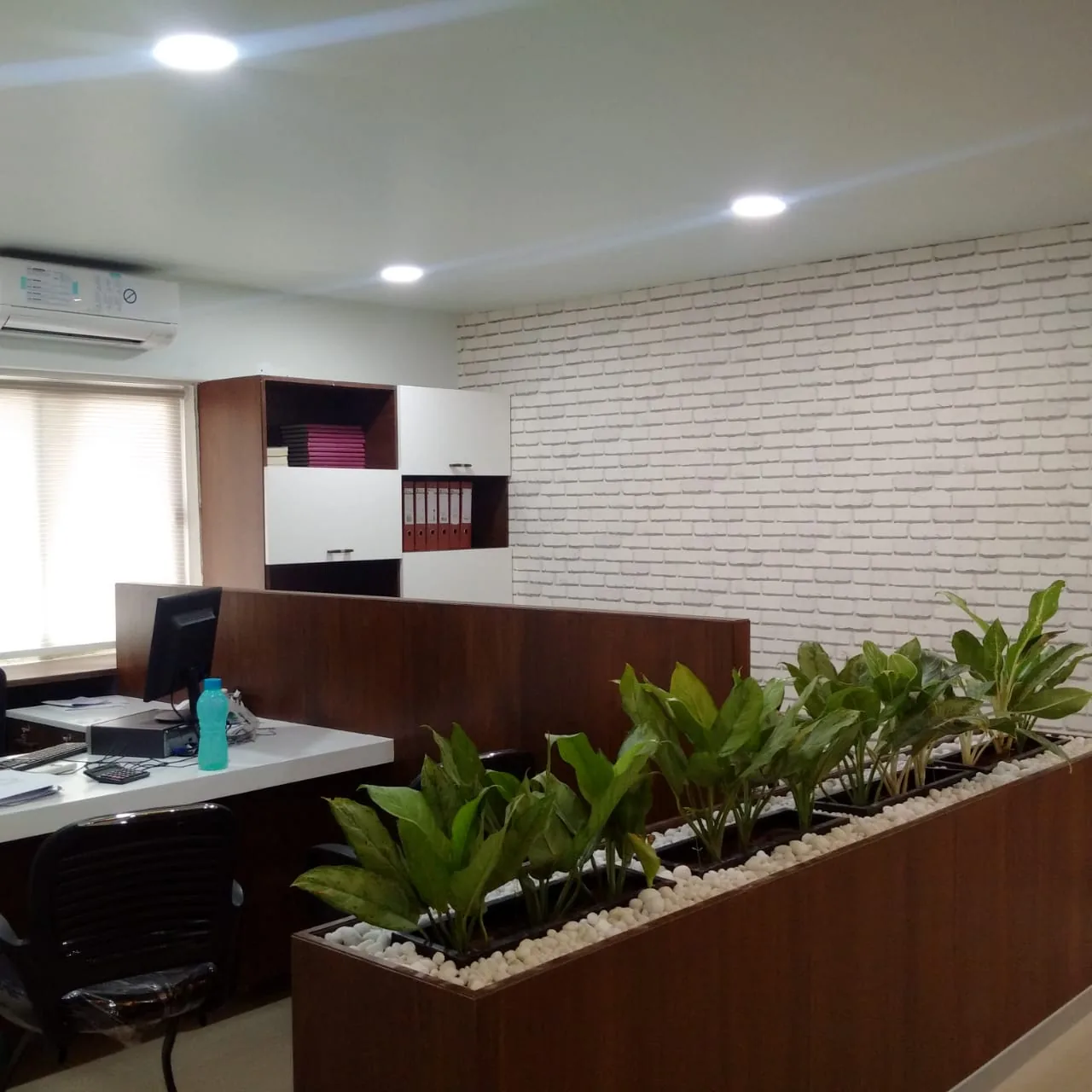 An open office seen behind a timber planter screen