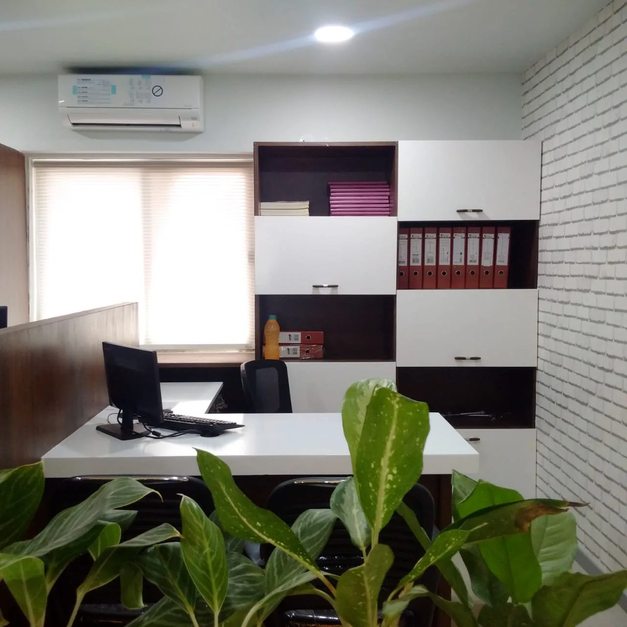 A workstation beside a filing wall, planting in the foreground