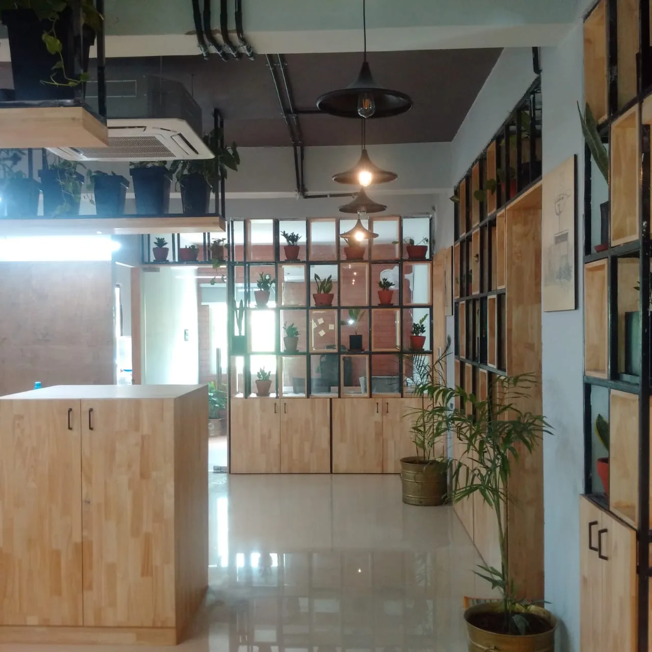 Studio circulation running between shelving bays and planting